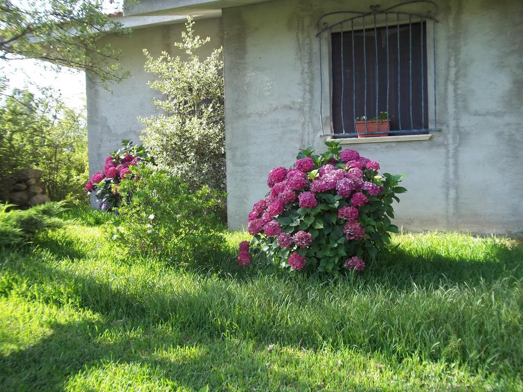 Il Vecchioliveto Di Ornella Bed & Breakfast Marrubiu Exterior photo