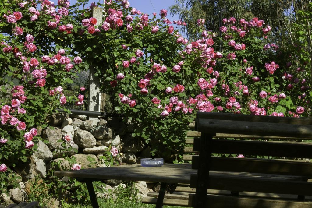 Il Vecchioliveto Di Ornella Bed & Breakfast Marrubiu Exterior photo