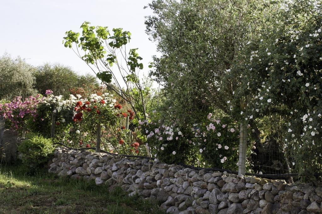 Il Vecchioliveto Di Ornella Bed & Breakfast Marrubiu Exterior photo